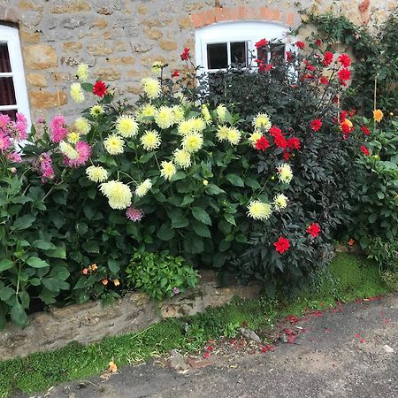 The Cottage Abbotsbury Exterior photo