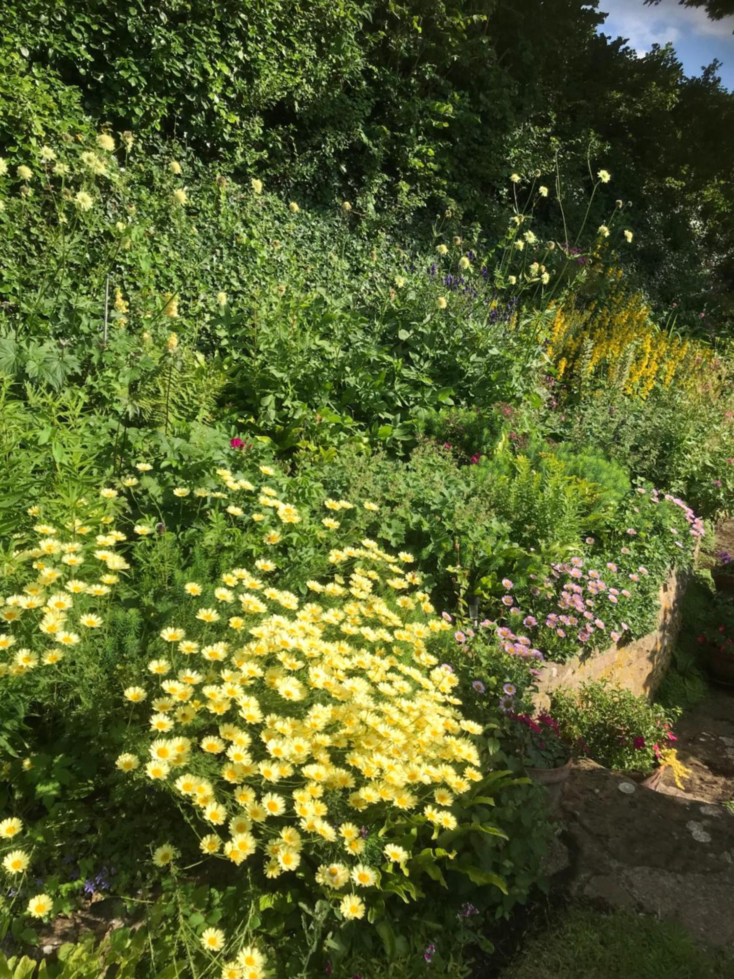 The Cottage Abbotsbury Exterior photo