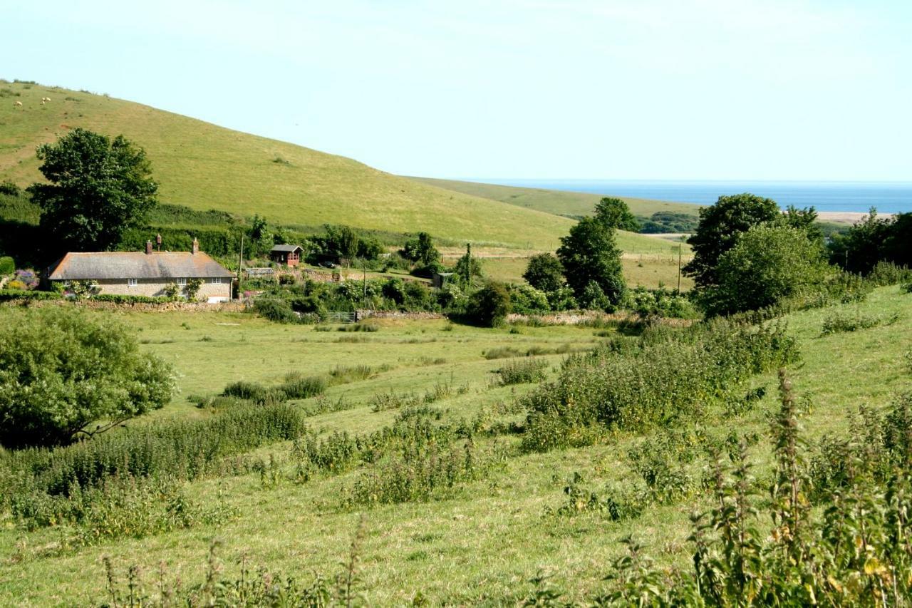 The Cottage Abbotsbury Exterior photo