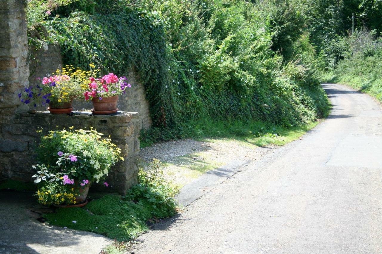 The Cottage Abbotsbury Exterior photo