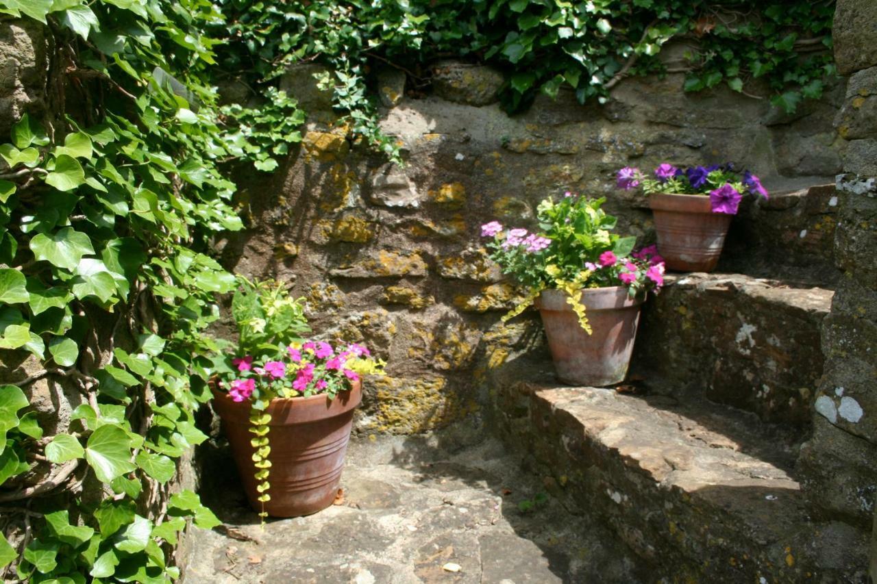 The Cottage Abbotsbury Exterior photo